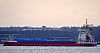 FINGARD_003