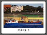 DANA 1