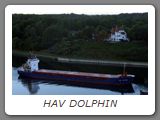 HAV DOLPHIN
