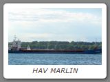 HAV MARLIN