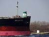 BELLATRIX_026