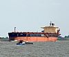 DOCEBAY_002
