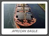 AFRICAN EAGLE
