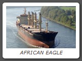 AFRICAN EAGLE