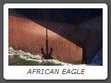 AFRICAN EAGLE