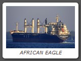 AFRICAN EAGLE