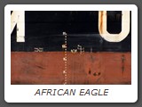 AFRICAN EAGLE