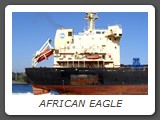 AFRICAN EAGLE