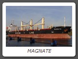 MAGNATE