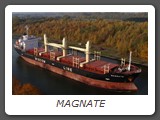 MAGNATE