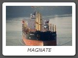MAGNATE