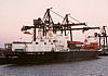 MSC_CHIARA