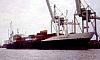 MSC_CHIARA_001