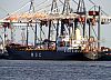 MSC_IRIS_001