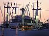 DSC09673