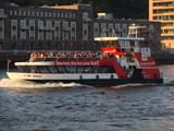 ST. PAULI