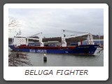 BELUGA FIGHTER