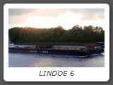 LINDOE 6