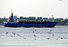 IRINA_TRADER_002
