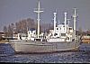 shorthorn_express