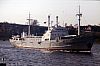 shorthorn_express001