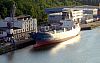 WILSON_EXPRESS