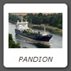 PANDION