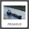 PEGASUS