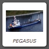 PEGASUS