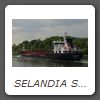 SELANDIA SWAN