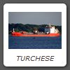 TURCHESE