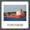 TURCHESE