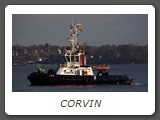 CORVIN