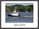 GOLIATH