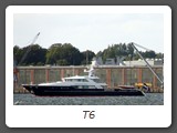 T6